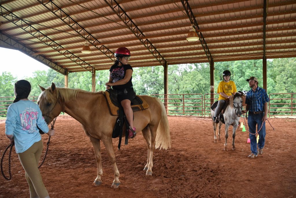 mimosa farm 2019 164 (1024x683).jpg